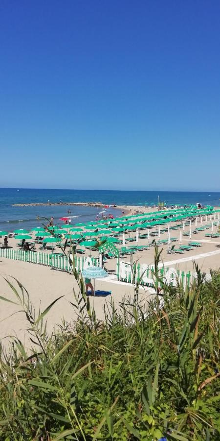 Villa Giuliana Stanze Con Bagno Interno In Villa A 350 Mt Spiaggia Libera Lido Delle Sirene Anzio Zewnętrze zdjęcie
